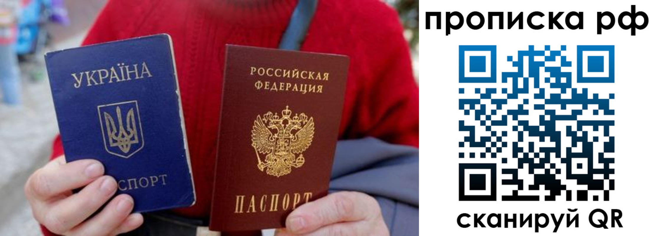 где прописаться в Димитровграде