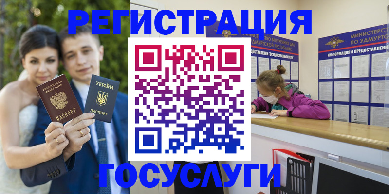 прописка поиск в Димитровграде